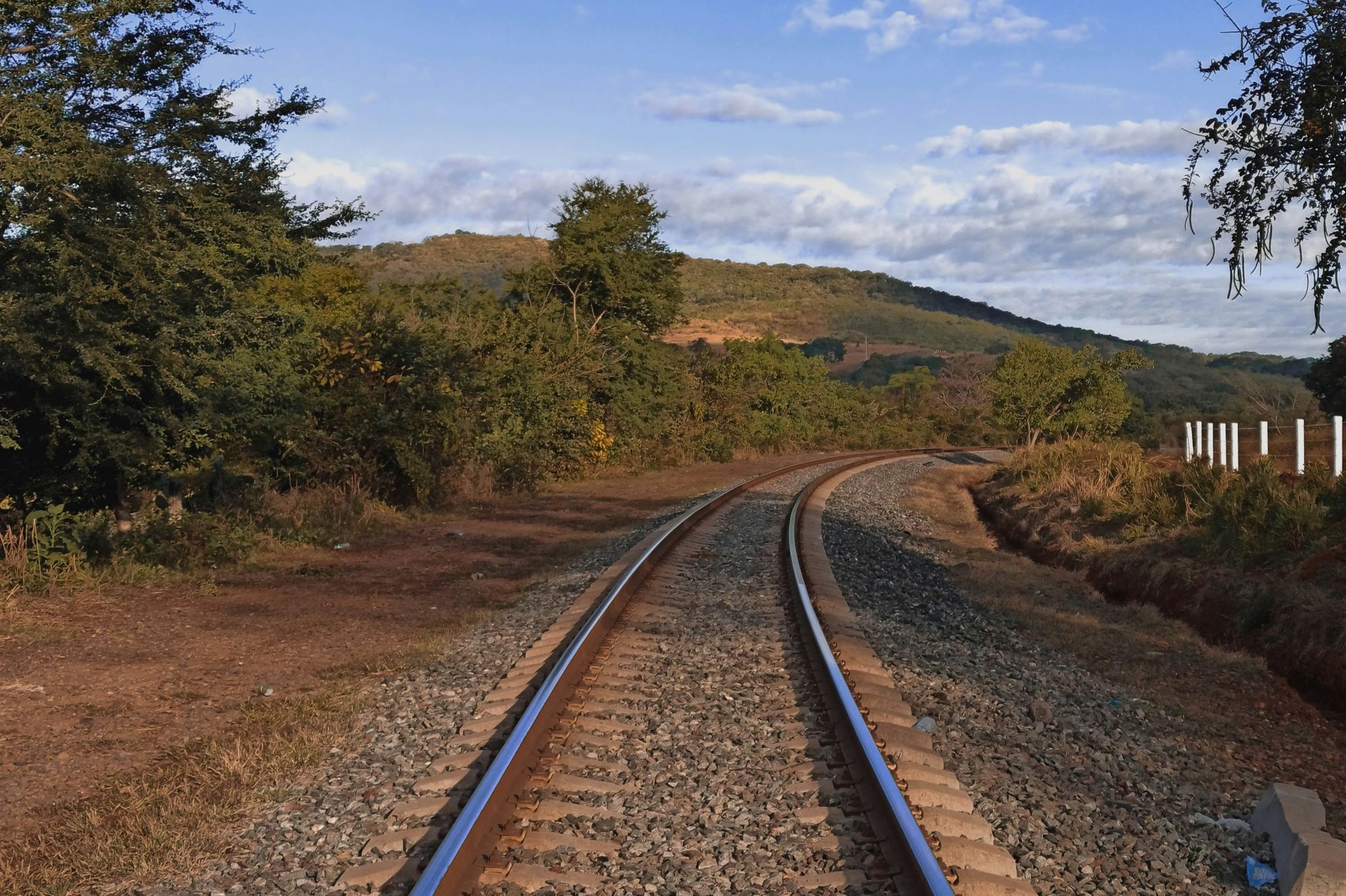 Brown train rail under blue sky during daytime